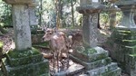 DSC_4618.jpg